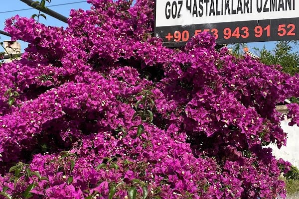 Ortaca Göz Kliniği - Resim 9