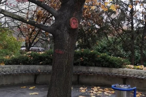 Ankara Üniversitesi Öğrenci İşler Daire Başkanlığı - Resim 5