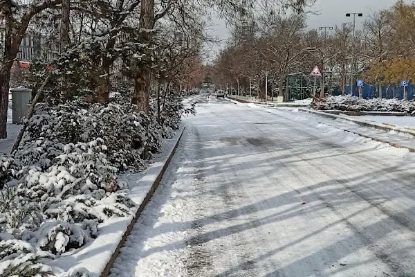 Ankara Üniversitesi Öğrenci İşler Daire Başkanlığı - Resim 6