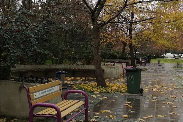 Ankara Üniversitesi Öğrenci İşler Daire Başkanlığı - Resim 4