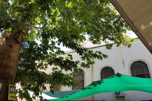 Şadırvanaltı Camii - Resim 15