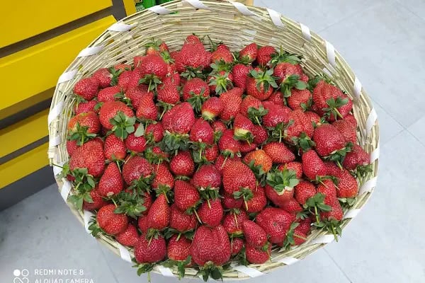 Akyıldız Süper Market - Resim 14