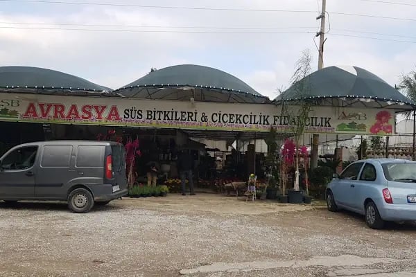 Avrasya Peyzaj , Süs Bitkileri ve İklimlendirme - Resim 4