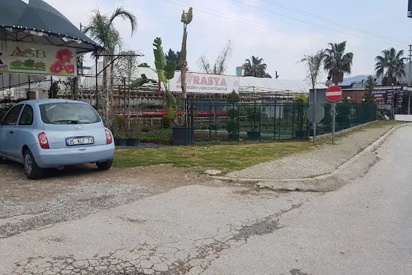 Avrasya Peyzaj , Süs Bitkileri ve İklimlendirme - Resim 6