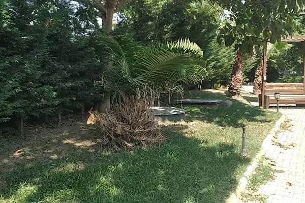 Sedefne Bahçe Kır Düğün Salonu - Resim 3