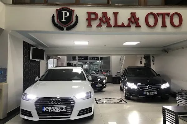 Pala Oto - Resim 15