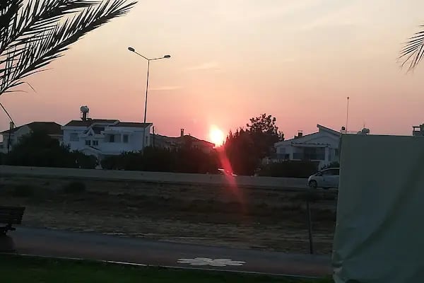 at çiftik ayhan - Resim 12