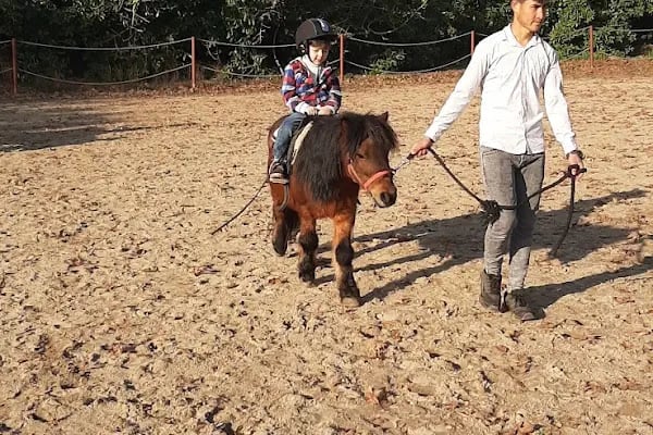 at çiftik ayhan - Resim 8