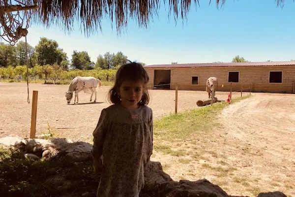 at çiftik ayhan - Resim 6