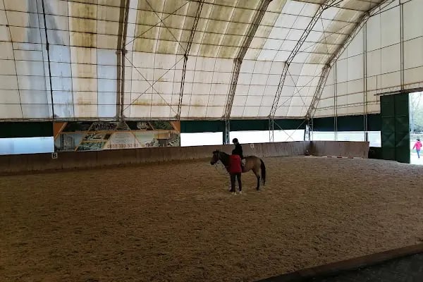 Atlı Spor Kulübü - Resim 2
