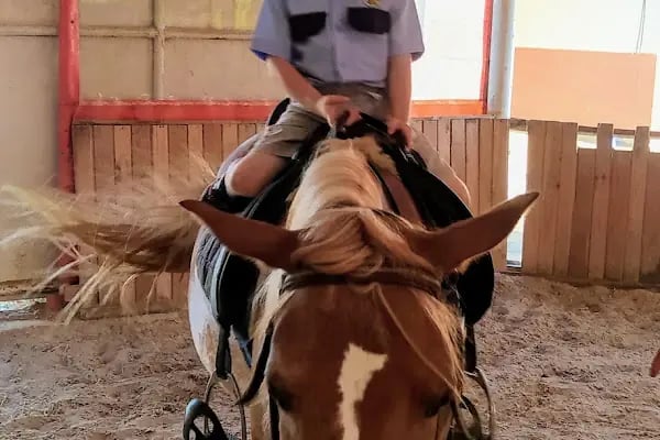 Atlı Spor Kulübü - Resim 5