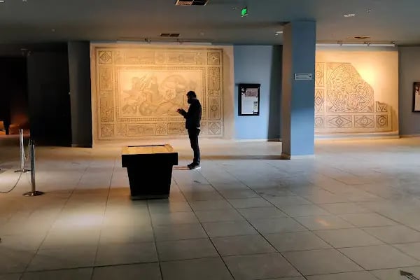 Gaziantep Zeugma Kongre Kültür Ve Müze Merkezi - Resim 14