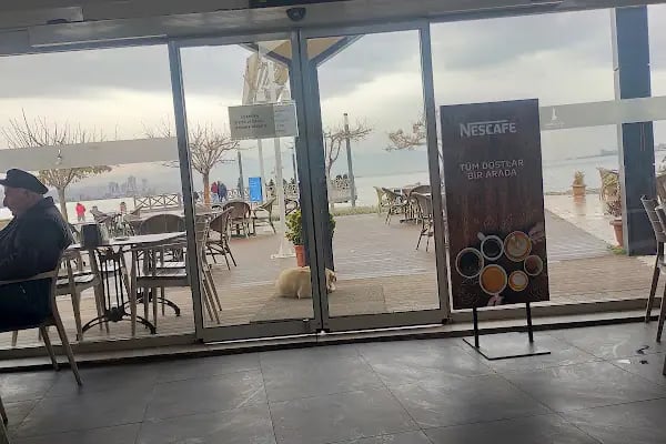 Bayraklı Sahil piknik akanı - Resim 14