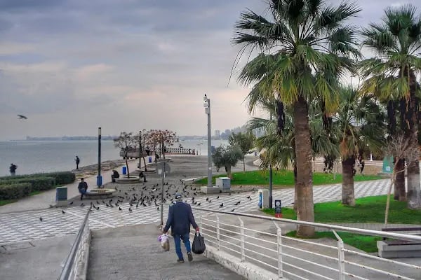 Bayraklı Sahil piknik akanı - Resim 9