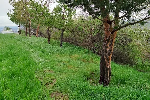 Avşar - Resim 13