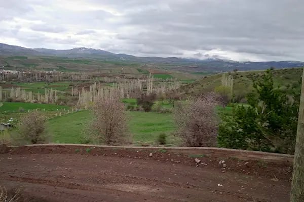 Avşar - Resim 3
