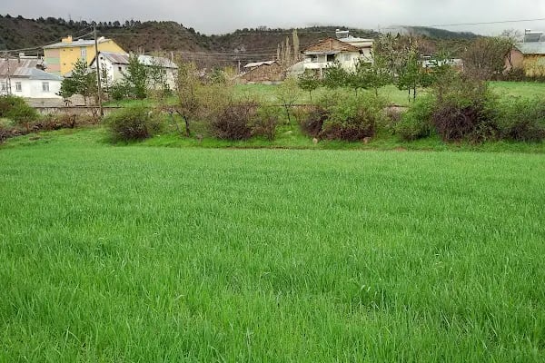 Avşar - Resim 17