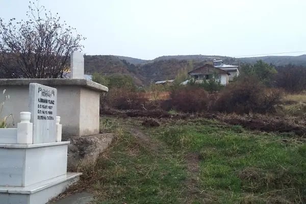 Avşar - Resim 2
