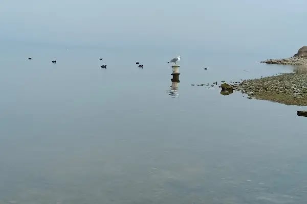 Battalgazi feribot iskelesi - Resim 19