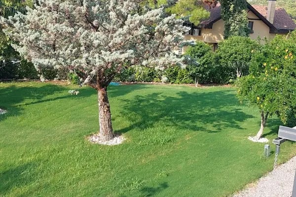 Çamlıtepe Orman Evleri - Resim 2