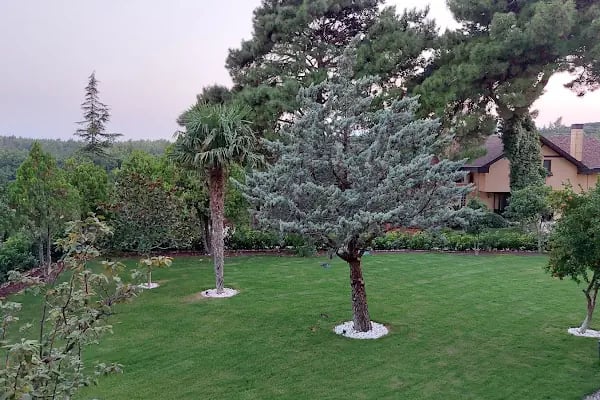 Çamlıtepe Orman Evleri - Resim 1