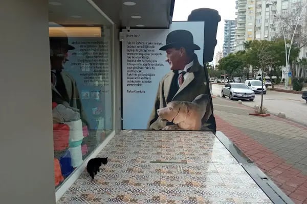Foksvet Veteriner Kliniği - Adana - Resim 13