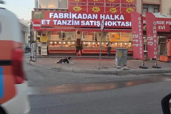 Nostalji Tramvay Durağı - Resim 9