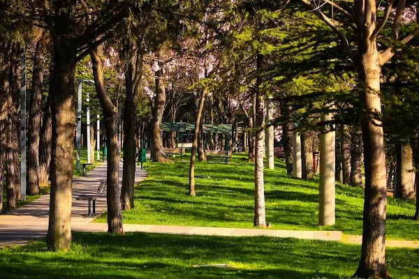 Gazikent Parkı - Resim 13