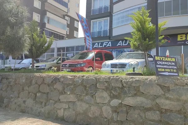 Alfa Auto - Resim 5