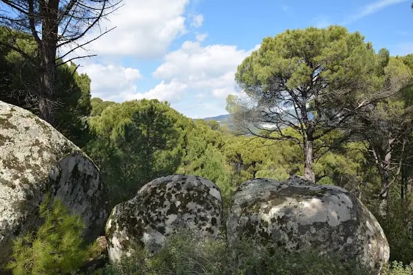 İzmir/bergama/Kozak Yaylasi - Resim 9