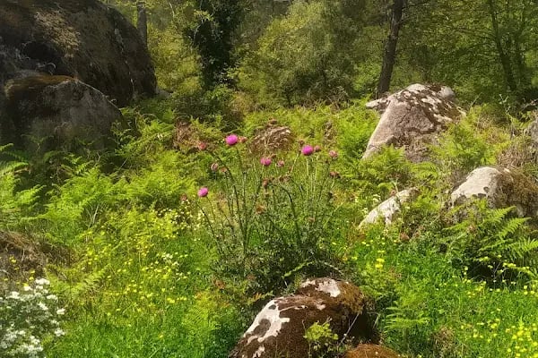 İzmir/bergama/Kozak Yaylasi - Resim 16