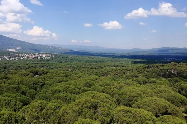 İzmir/bergama/Kozak Yaylasi - Resim 4
