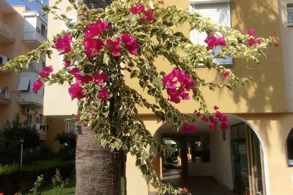 Atalay Beach - Resim 10