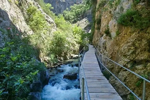 FRESH TOURISM TRAVEL AGENCY - Resim 14