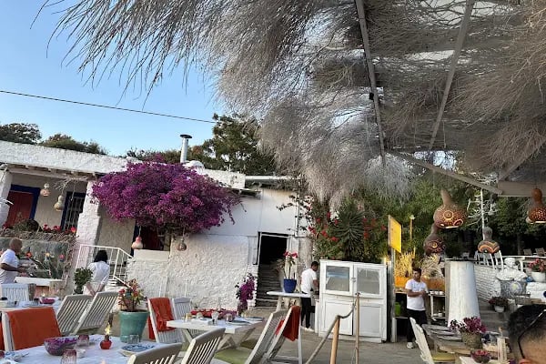 Mimoza Gümüşlük Restaurant - Resim 2