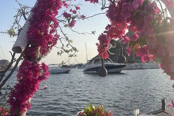 Mimoza Gümüşlük Restaurant - Resim 15