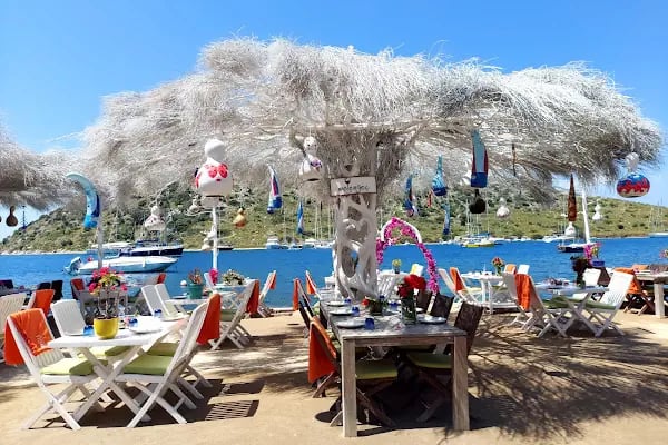 Mimoza Gümüşlük Restaurant - Resim 6