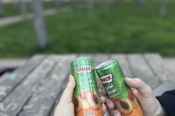 Akçakale kent ve mesire alanı - Resim 2