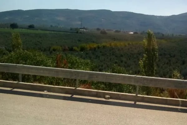 ORAU Orhan Otomotiv Bursa Serbest Bölge Gemlik şubesi - Resim 3