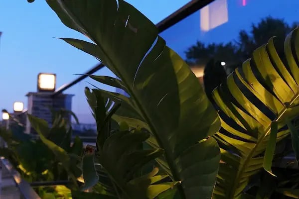 Krabi Apart Otel | Antalya , Kundu , Lara - Resim 17
