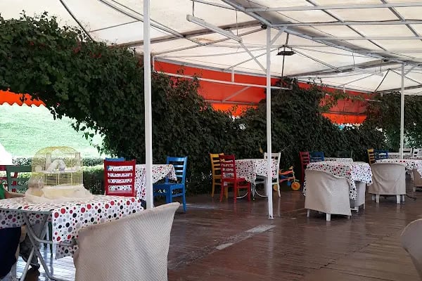 Dinlenti Cafe Altınpark - Resim 10