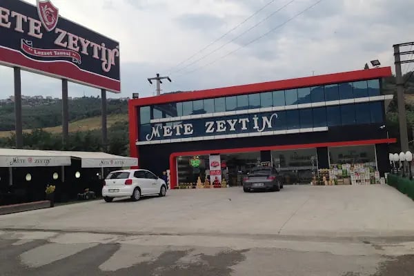 Mete Zeytin - Resim 3