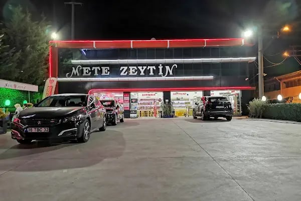 Mete Zeytin - Resim 16