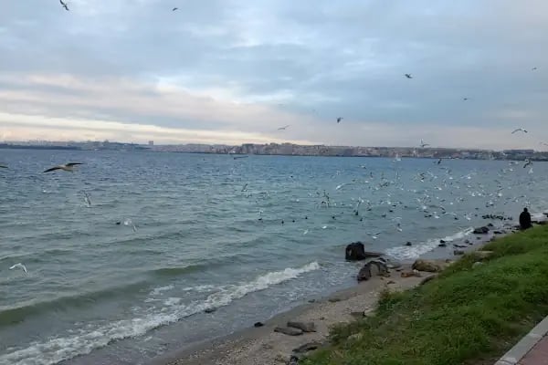 Avcılar Belediyesi İğdelik Parkı - Resim 2