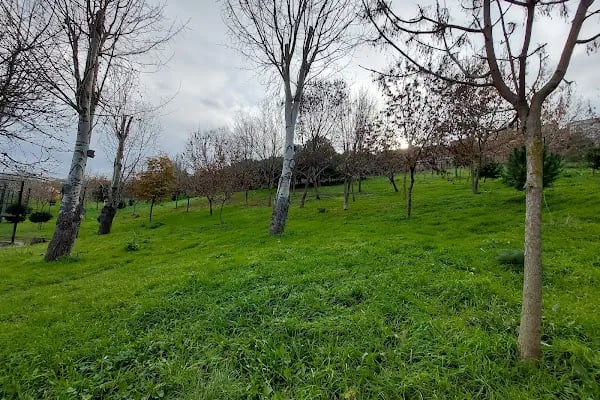Avcılar Belediyesi İğdelik Parkı - Resim 12