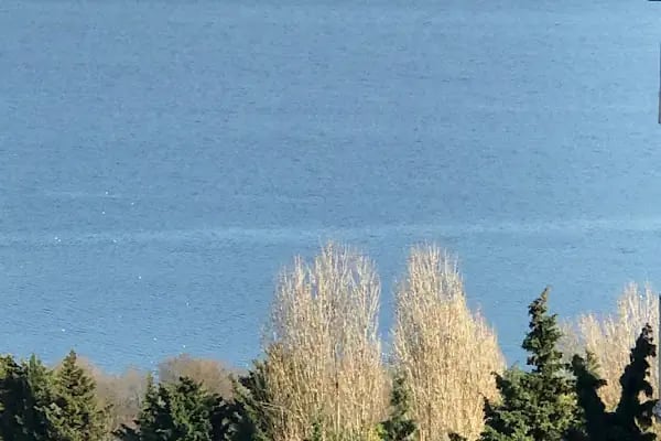 Avcılar Belediyesi İğdelik Parkı - Resim 15