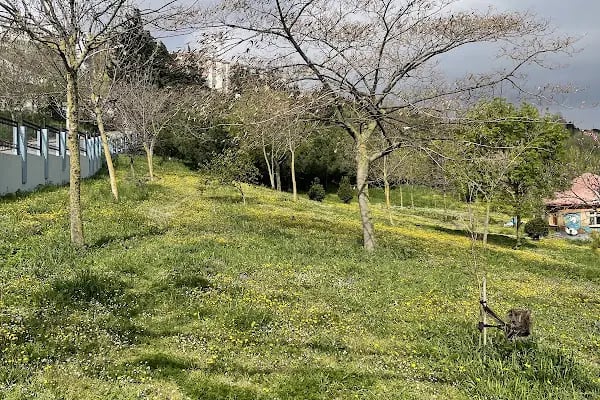 Avcılar Belediyesi İğdelik Parkı - Resim 5