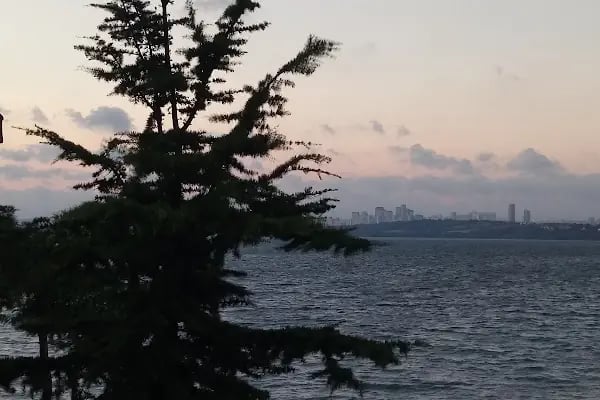 Avcılar Belediyesi İğdelik Parkı - Resim 16