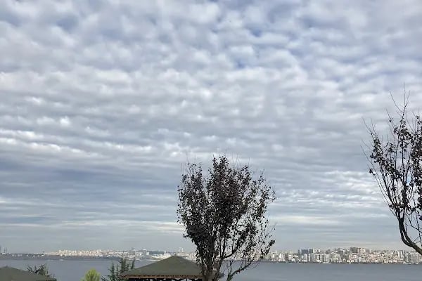 Avcılar Belediyesi İğdelik Parkı - Resim 3
