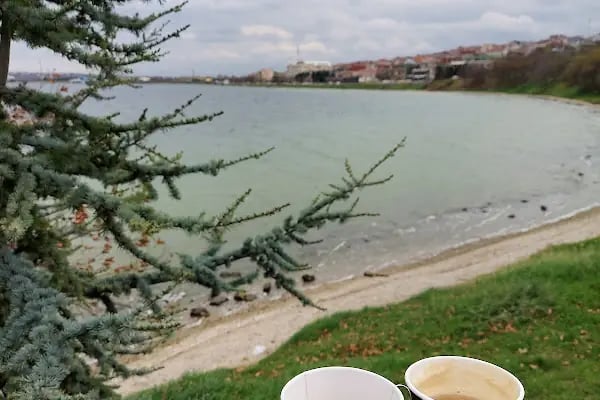 Avcılar Belediyesi İğdelik Parkı - Resim 8